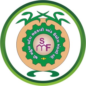 Foundation
